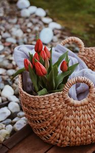 Preview wallpaper tulips, flowers, red, bouquet, basket