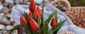 Preview wallpaper tulips, flowers, red, bouquet, basket