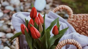 Preview wallpaper tulips, flowers, red, bouquet, basket