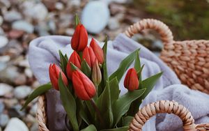 Preview wallpaper tulips, flowers, red, bouquet, basket