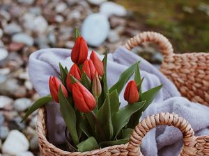 Preview wallpaper tulips, flowers, red, bouquet, basket