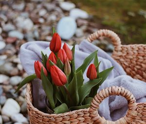 Preview wallpaper tulips, flowers, red, bouquet, basket