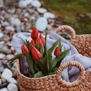 Preview wallpaper tulips, flowers, red, bouquet, basket