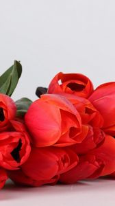 Preview wallpaper tulips, flowers, red, flower, basket, lie