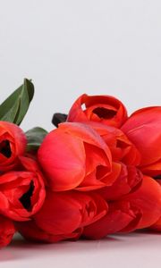 Preview wallpaper tulips, flowers, red, flower, basket, lie