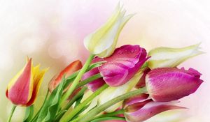 Preview wallpaper tulips, flowers, reflections, bouquet, drop, freshness