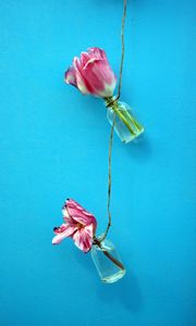 Preview wallpaper tulips, flowers, rope, wall, blue