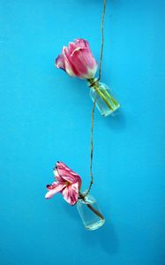 Preview wallpaper tulips, flowers, rope, wall, blue