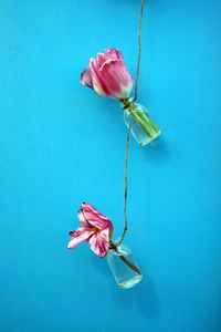 Preview wallpaper tulips, flowers, rope, wall, blue