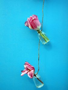 Preview wallpaper tulips, flowers, rope, wall, blue