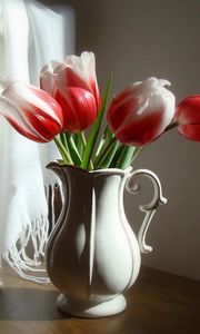 Preview wallpaper tulips, flowers, two-color, pitcher, chair, stole