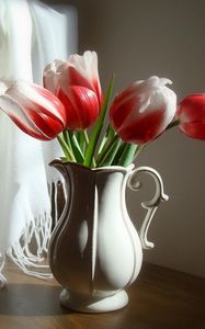 Preview wallpaper tulips, flowers, two-color, pitcher, chair, stole