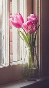Preview wallpaper tulips, flowers, vase, window