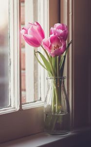 Preview wallpaper tulips, flowers, vase, window