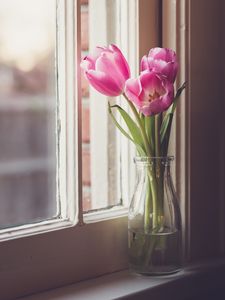 Preview wallpaper tulips, flowers, vase, window