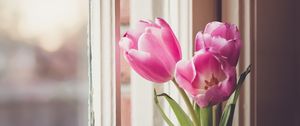 Preview wallpaper tulips, flowers, vase, window