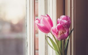 Preview wallpaper tulips, flowers, vase, window