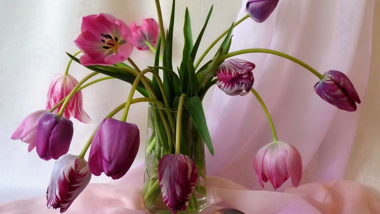 Wallpaper tulips, flowers, vase, fabric, egg, holiday, easter