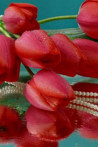 Preview wallpaper tulips, flowers, vase, lie, beads, drops, water, reflection