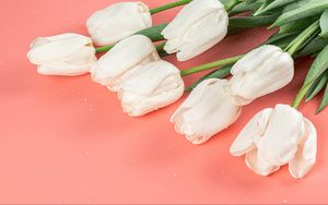 Preview wallpaper tulips, flowers, white, pink