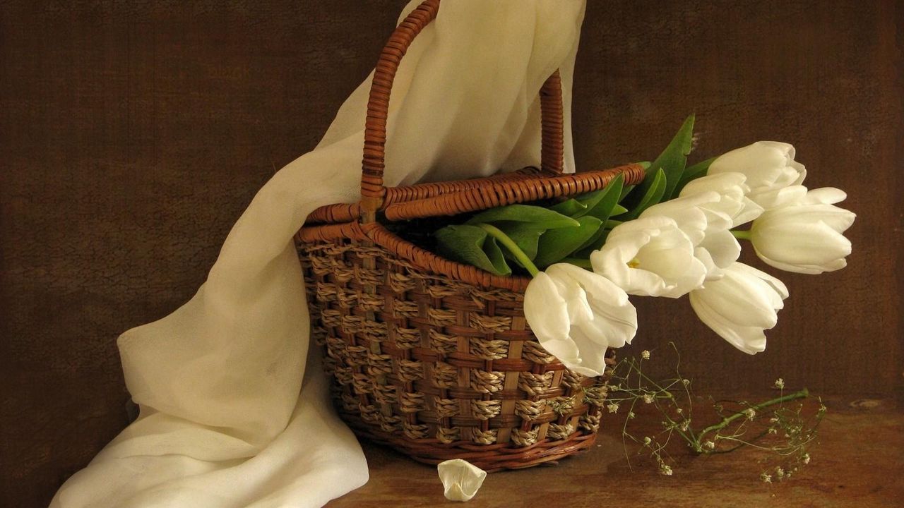 Wallpaper tulips, flowers, white, flower, basket, spring, scarf