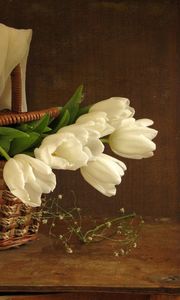Preview wallpaper tulips, flowers, white, flower, basket, spring, scarf
