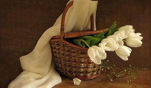 Preview wallpaper tulips, flowers, white, flower, basket, spring, scarf