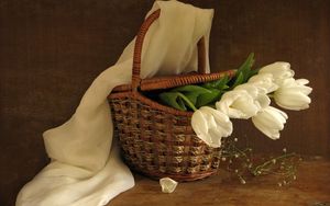 Preview wallpaper tulips, flowers, white, flower, basket, spring, scarf