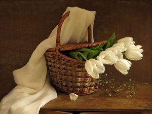 Preview wallpaper tulips, flowers, white, flower, basket, spring, scarf