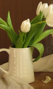 Preview wallpaper tulips, flowers, white, flower, pitcher, scarf, green