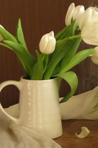 Preview wallpaper tulips, flowers, white, flower, pitcher, scarf, green