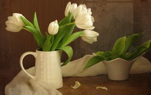 Preview wallpaper tulips, flowers, white, flower, pitcher, scarf, green