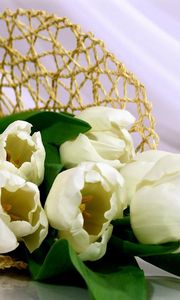 Preview wallpaper tulips, flowers, white, flower, weaving, bag