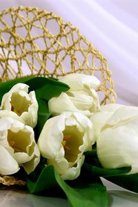 Preview wallpaper tulips, flowers, white, flower, weaving, bag
