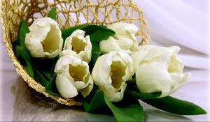 Preview wallpaper tulips, flowers, white, flower, weaving, bag