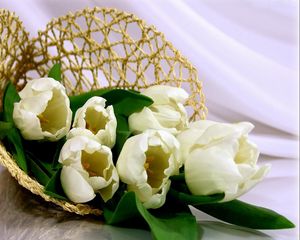 Preview wallpaper tulips, flowers, white, flower, weaving, bag