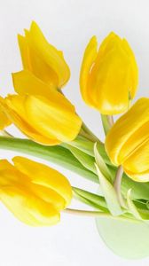 Preview wallpaper tulips, flowers, yellow, bank, light