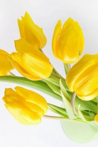 Preview wallpaper tulips, flowers, yellow, bank, light