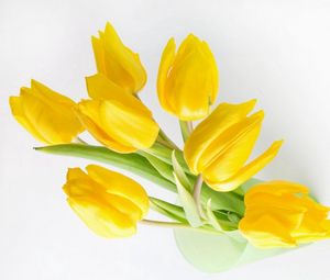 Preview wallpaper tulips, flowers, yellow, bank, light