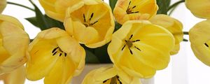Preview wallpaper tulips, flowers, yellow, loose, bouquet, vase