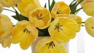 Preview wallpaper tulips, flowers, yellow, loose, bouquet, vase