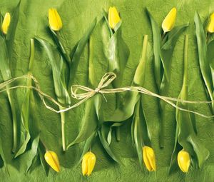 Preview wallpaper tulips, flowers, yellow, lies, rope