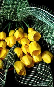 Preview wallpaper tulips, flowers, yellow, flower, decoration