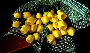 Preview wallpaper tulips, flowers, yellow, flower, decoration