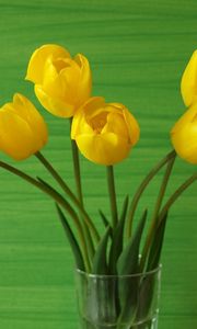 Preview wallpaper tulips, flowers, yellow, white, vase