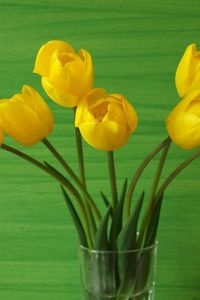 Preview wallpaper tulips, flowers, yellow, white, vase