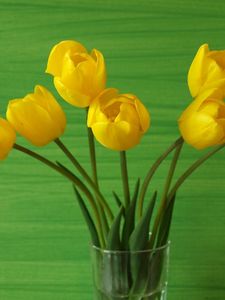 Preview wallpaper tulips, flowers, yellow, white, vase