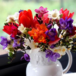 Preview wallpaper tulips, freesia, flowers, bouquet, pitcher, window