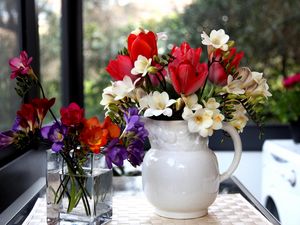 Preview wallpaper tulips, freesia, flowers, glass, jar, beauty