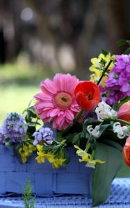 Preview wallpaper tulips, gerberas, lucius, basket, composition